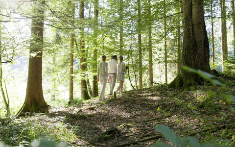 Drei Personen beim Spaziergang durch einen sonnendurchfluteten grünen Wald mit hohen Bäumen und natürlichem Waldboden.
