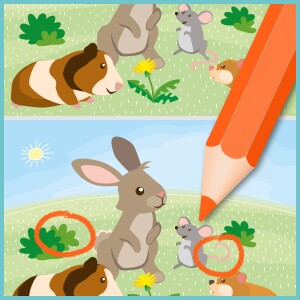 Image cherche et trouve avec lapin, cochon d'Inde et souris dans l'herbe, différences entourées au crayon rouge