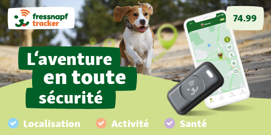 Traceur GPS Bluetooth patte pour animaux - Petits Compagnons