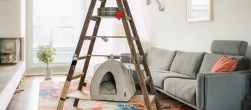 Fressnapf Haustiergeschäft Außenansicht mit Eingang, Werbebanner und grünen Fahnen, alles für wahre Freunde.