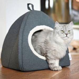 Chat gris duveteux aux yeux verts sortant d'un lit pour chat en forme de tente gris confortable sur un sol en bois.