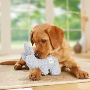 Chiot labrador doré jouant avec une peluche grise en forme de chien sur un tapis dans un salon lumineux