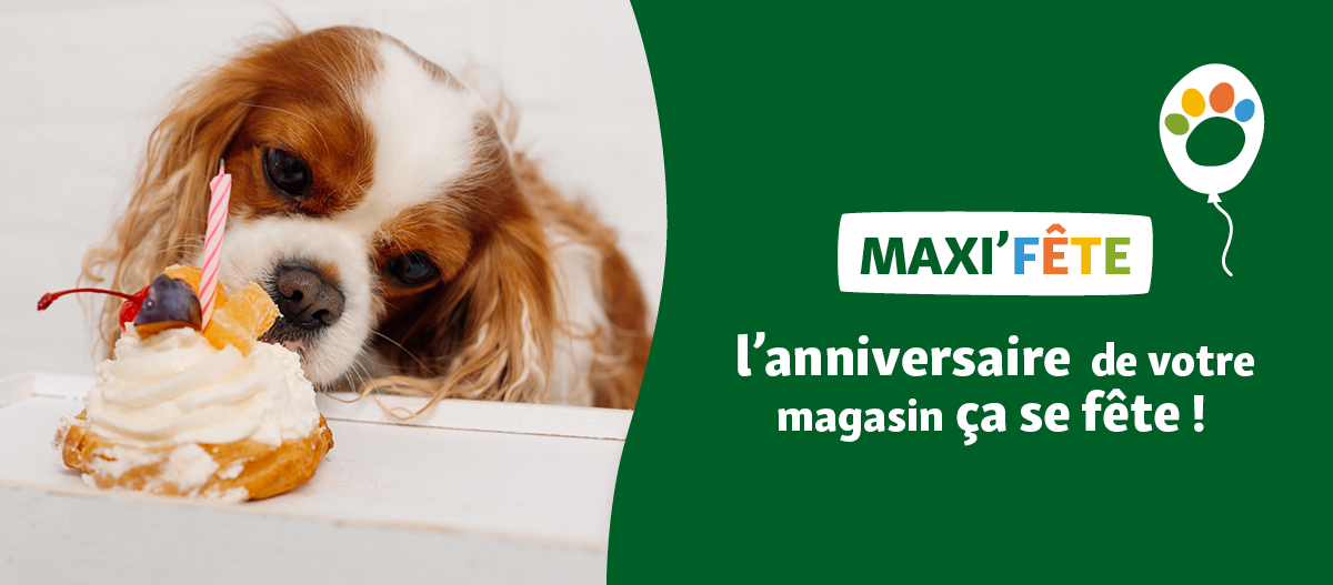 MAXIZOO_MAXIVERSAIRE_1200x527-ANNIVERSAIRE
