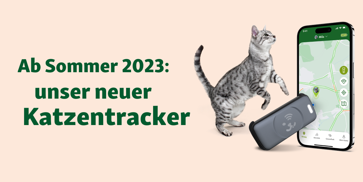 1238x620 Katzen tracker