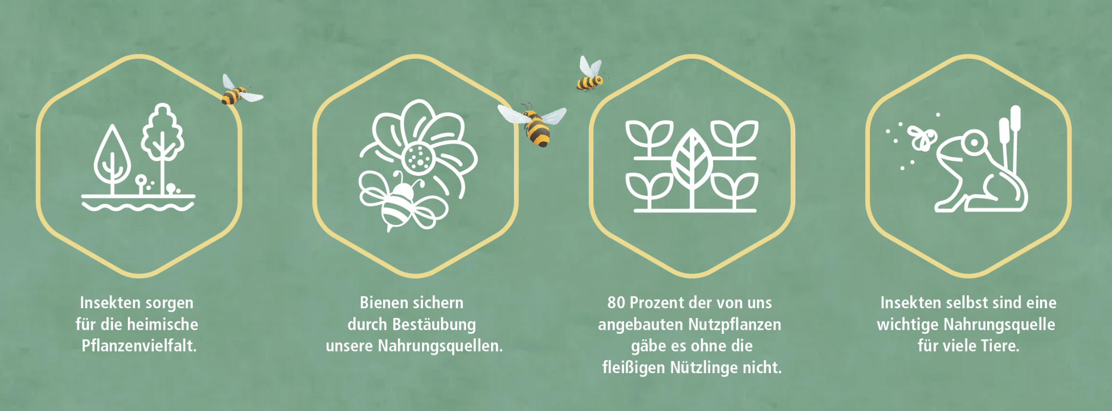 hilf-der-biene Hilf der Biene