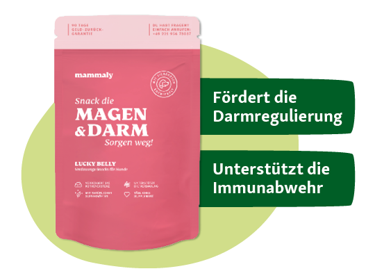 Verpackung eines pinken Hundesnacks von mammaly zur Förderung der Darmregulierung und Unterstützung der Immunabwehr.