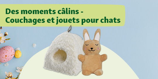 Couchage douillet et jouet en peluche pour chats, lits confortables et jouets pour chats