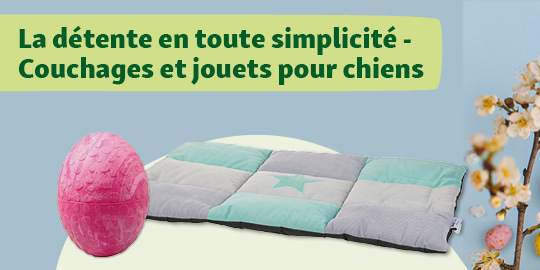 Jouet pour chien rose en forme d'œuf texturé à côté d'un couchage pour chien matelassé gris et menthe avec motif étoile, bannière publicitaire pour couchages et jouets pour chiens