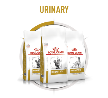 Royal Canin Urinary S/O Hundefutter für gesunde Harnwege, drei weiße Futtersäcke mit goldenen und roten Akzenten