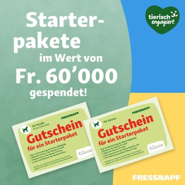 Starterpakete für Hunde und Katzen im Wert von 60.000 Franken, gespendet von Fressnapf, mit Gutscheinen für Futter, Betten und Zubehör.