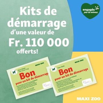 Kits de démarrage Maxi Zoo pour chiens et chats d'une valeur de 110 000 francs offerts, avec nourriture, paniers et accessoires