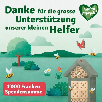 Dankeschön für die Unterstützung von Bienen und kleinen Helfern mit 1000 Franken Spendensumme, Bienenhotel und Natur im Hintergrund