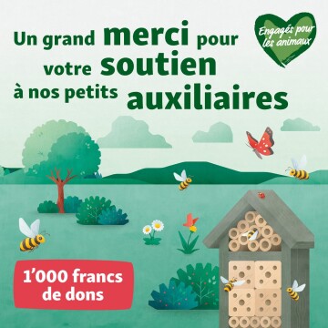 Illustration d’un hôtel à insectes avec des abeilles, un papillon et un message de remerciement pour les dons en faveur des petits auxiliaires.