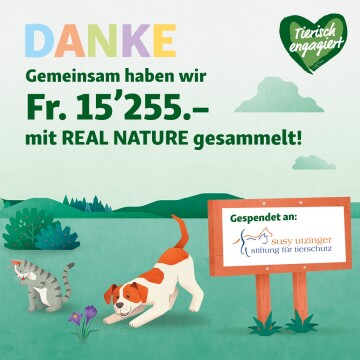 Bunte Dankeskarte mit dem Text