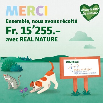 Message de remerciement coloré pour une collecte de 15’255 francs, chien et chat dans la nature, soutien à la Fondation Susy Utzinger pour la protection des animaux.