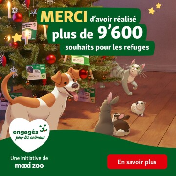 Illustration d’un sapin de Noël décoré avec un chien, un chat, des lapins et un cochon d’Inde, célébrant plus de 9 600 souhaits réalisés pour les refuges.