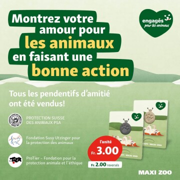 Affiche promotionnelle avec pendentifs d’amitié à empreinte de patte pour la protection des animaux, vendus chez MAXI ZOO, soutenant des organisations suisses.