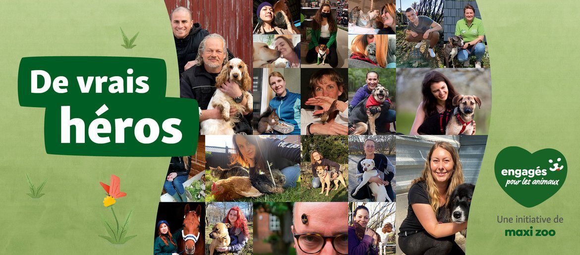 Collage de personnes avec divers animaux comme chiens, chats, oiseaux et chevaux – de vrais héros engagés pour les animaux, initiative de Maxi Zoo.