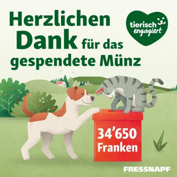 Illustration von Hund und Katze neben einer roten Spendenbox mit dem Text