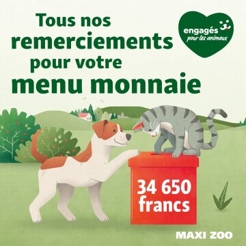 Illustration d’un chien et d’un chat près d’une boîte de collecte rouge indiquant