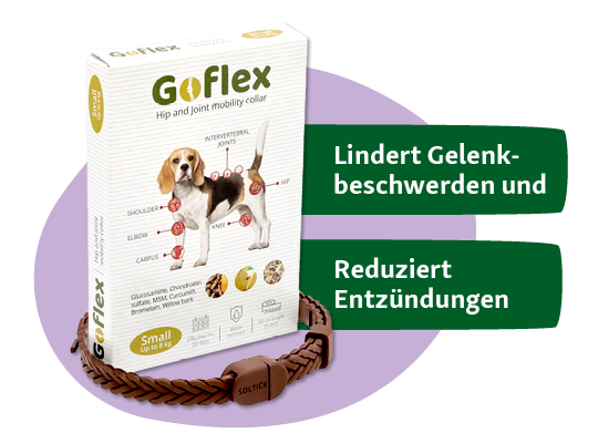 Goflex Hundehalsband zur Linderung von Gelenkbeschwerden und Entzündungen bei kleinen Hunden bis 8 kg mit natürlichen Inhaltsstoffen.
