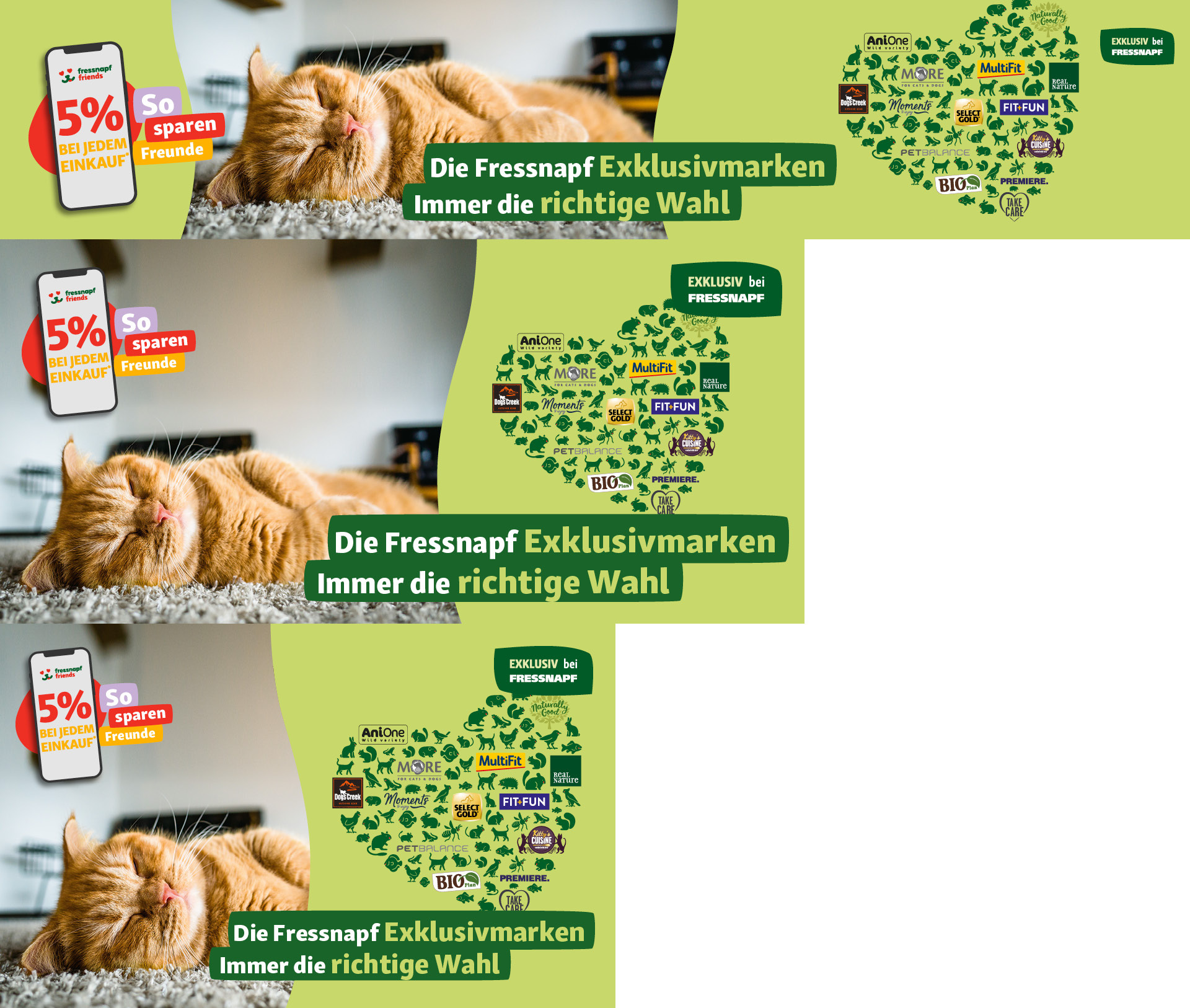 Entspannte orangefarbene Katze auf Teppich mit Fressnapf 5% Rabattangebot und exklusiven Markenlogos in Herzform