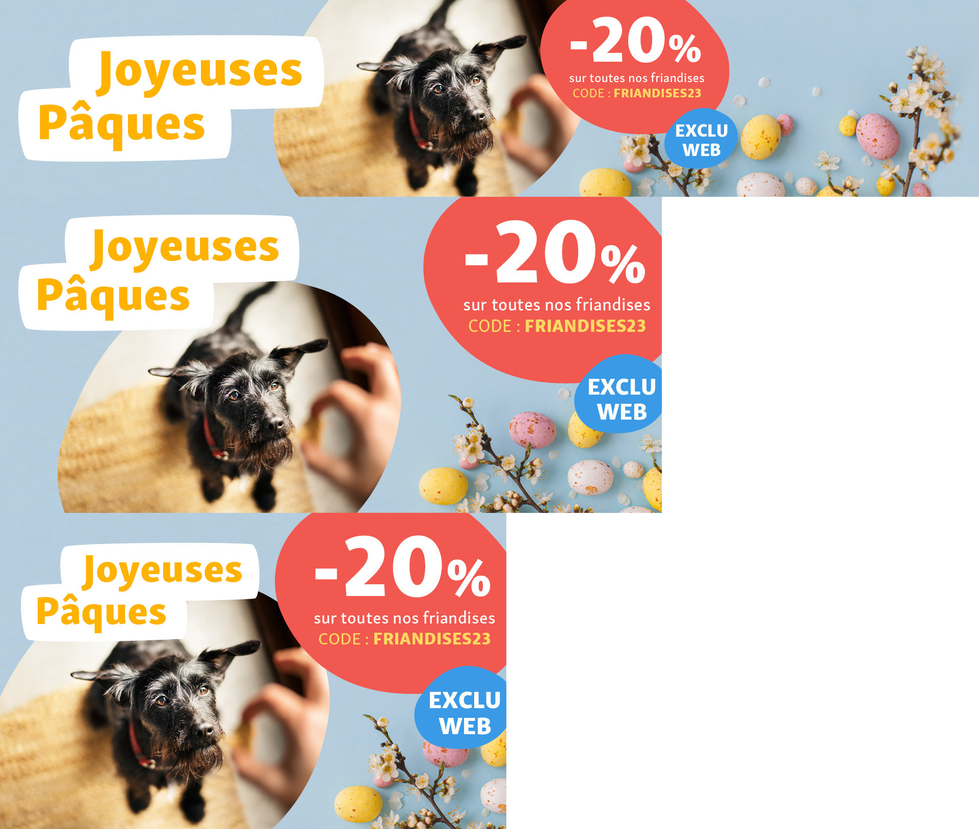 FN_924_FR_KW14_Ostern_OS_.PLP_1 Offre de Pâques avec petit chien noir regardant une friandise, -20% sur toutes les friandises avec le code FRIANDISES23, œufs de Pâques colorés et branches fleuries sur fond bleu