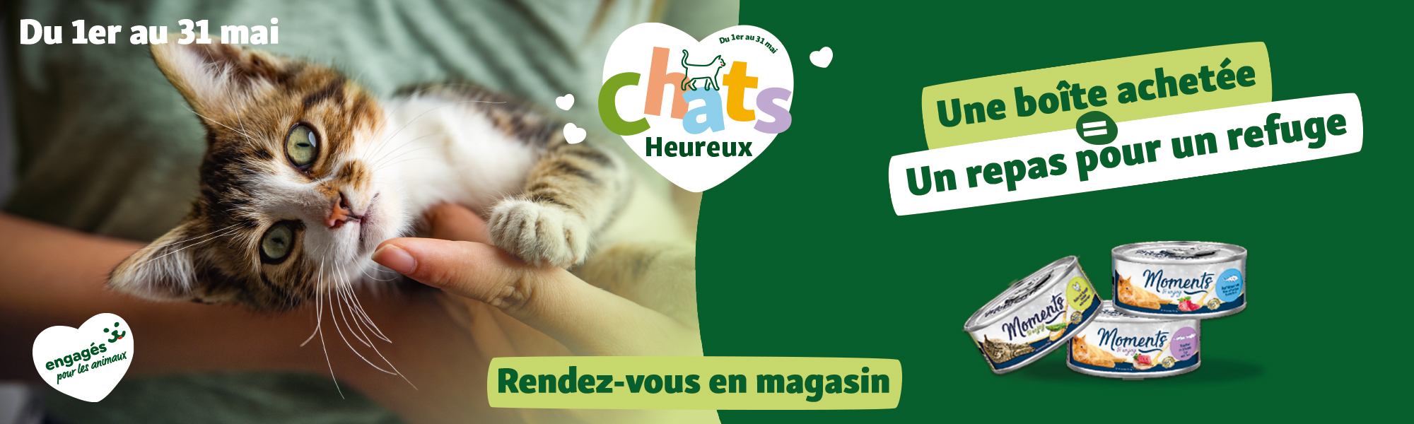 Sans-titre-3 Chaton mignon tenant un doigt, bannière promotionnelle de nourriture pour chats en mai, une boîte achetée = un repas pour un refuge