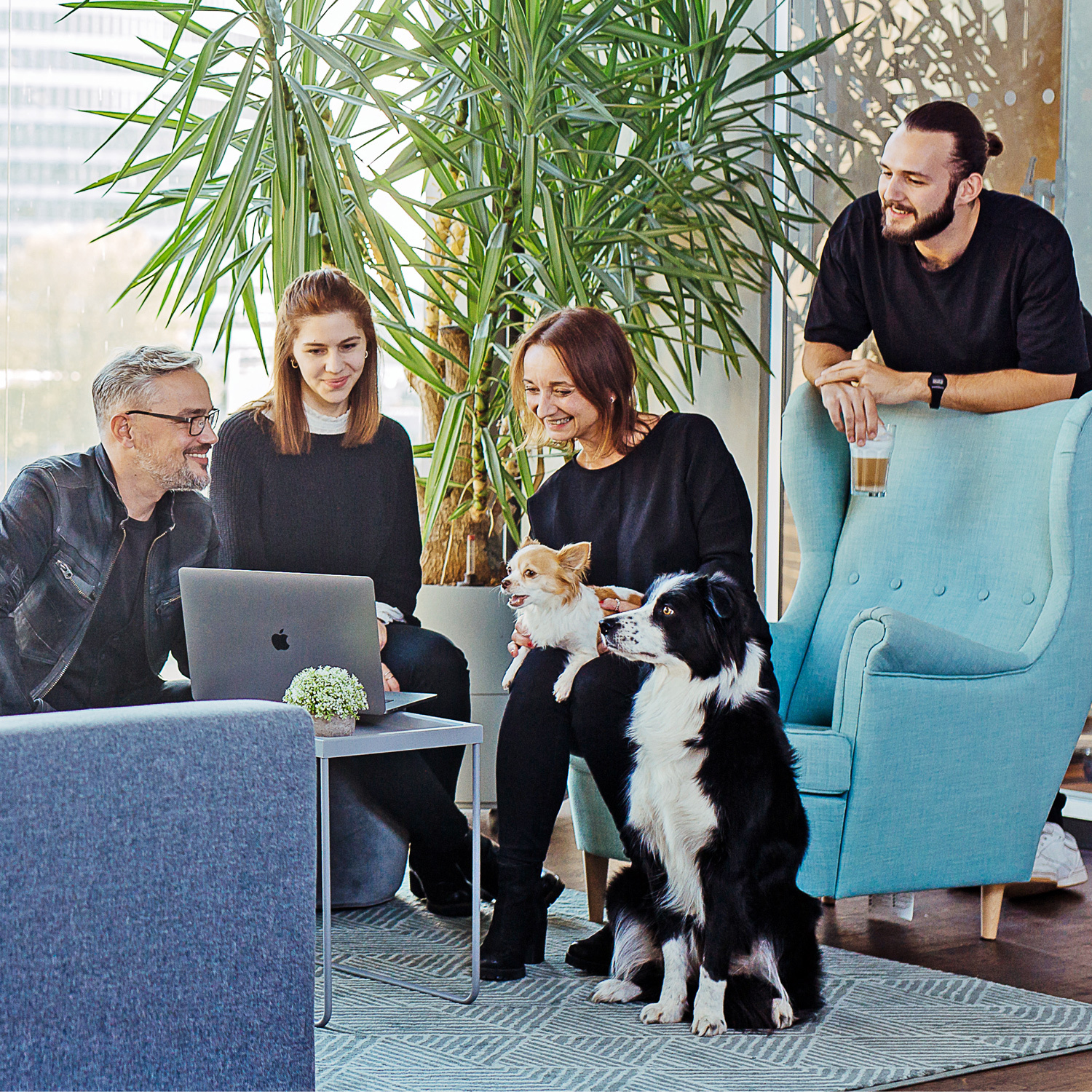 0323_APP_1500x1500px_Buerohunde Bürohunde bei Fressnapf