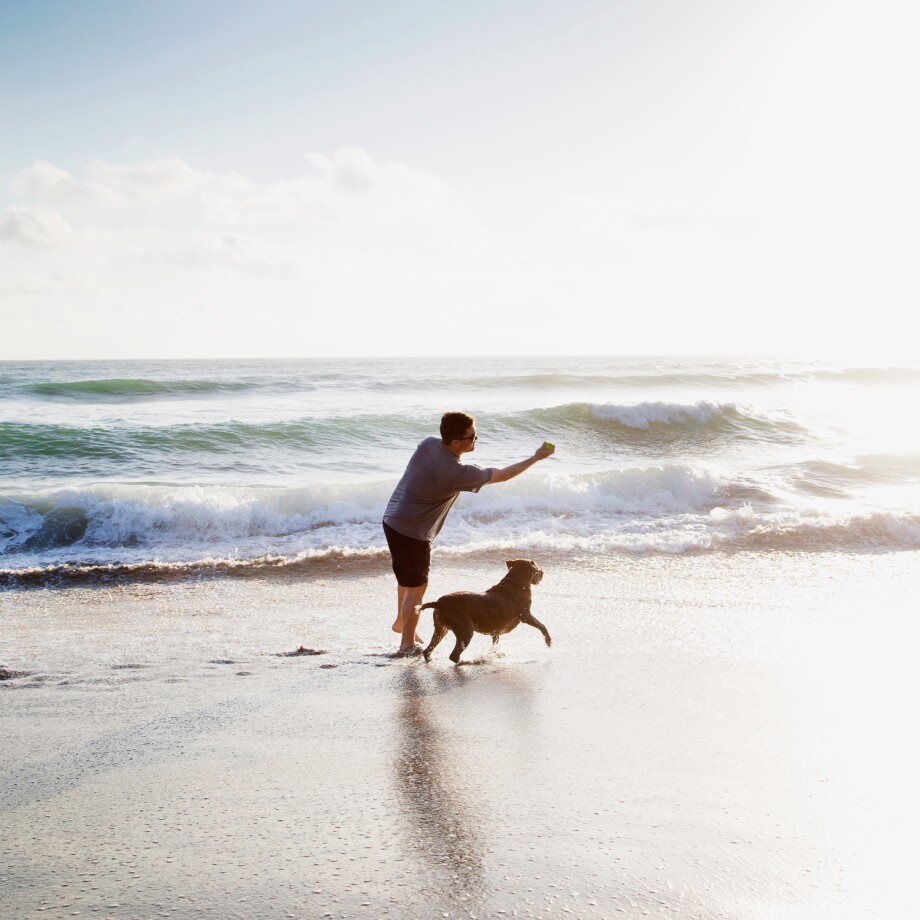 0323_APP_1500x1500px_Urlaub-mit-Hund_2 Urlaub mit Hund