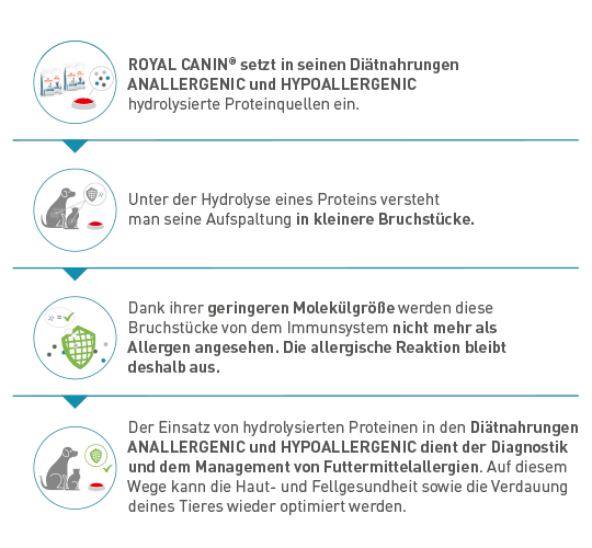 Derma_Graphics-3 Infografik zur Verwendung hydrolysierter Proteine in Royal Canin Diätnahrungen ANALLERGENIC und HYPOALLERGENIC zur Vermeidung allergischer Reaktionen bei Tieren.