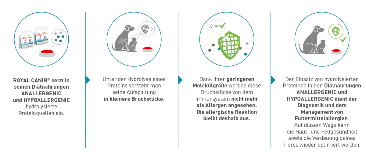 Derma_Graphics-4