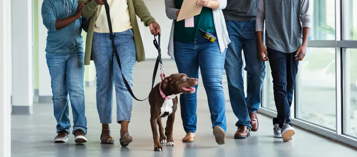 Gruppe von Menschen, die mit einem braunen Hund an der Leine in einem hellen Flur spazieren gehen