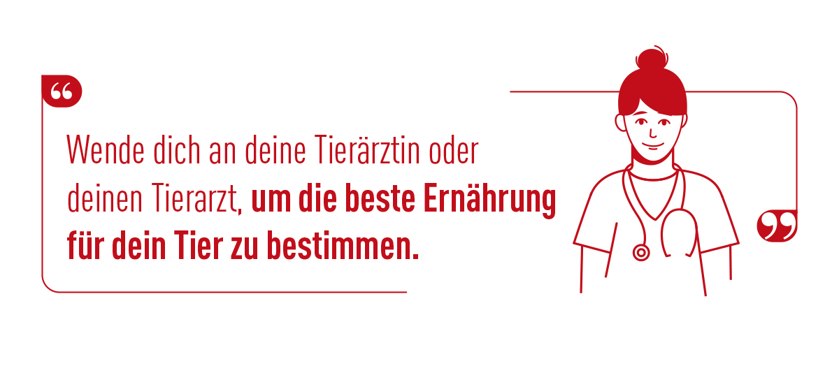 Illustration einer Tierärztin mit Stethoskop und Zitat zur besten Ernährung für Haustiere, Beratung durch Tierarzt empfohlen.
