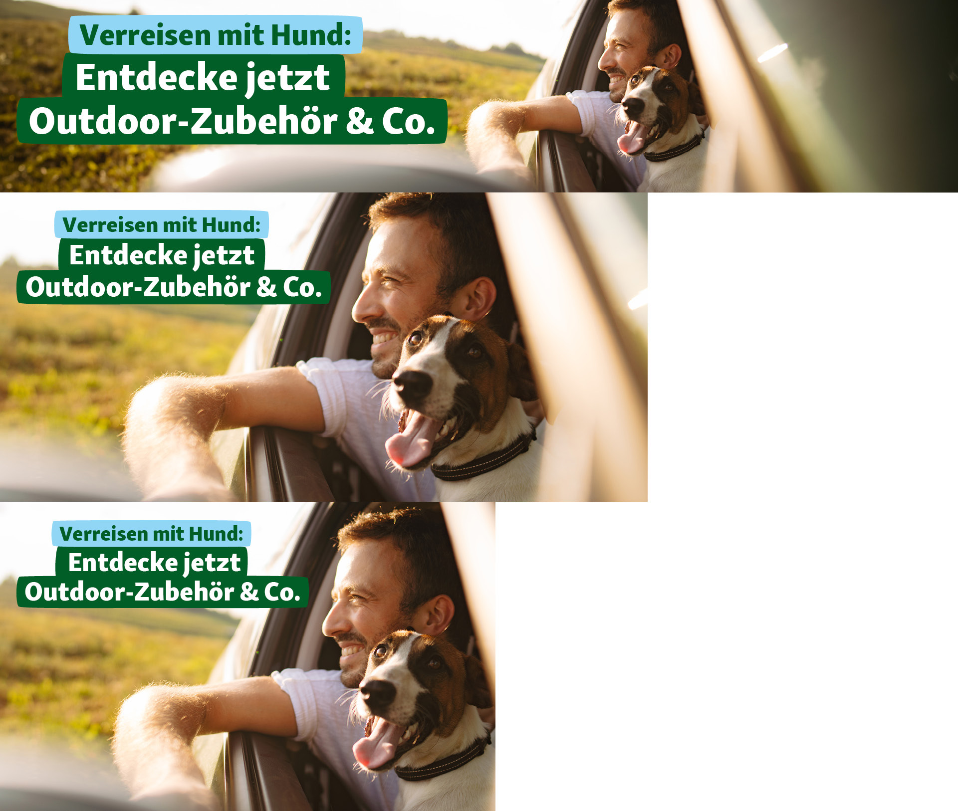 DE_KW24_Traveling_LW_OS.PLP_1 Verreisen mit Hund - Entdecke jetzt Outdoor-Zubehör und Co