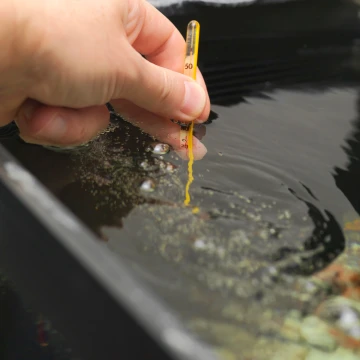 Hand die een gele thermometer vasthoudt, ondergedompeld in water met bubbels, om de watertemperatuur te meten.