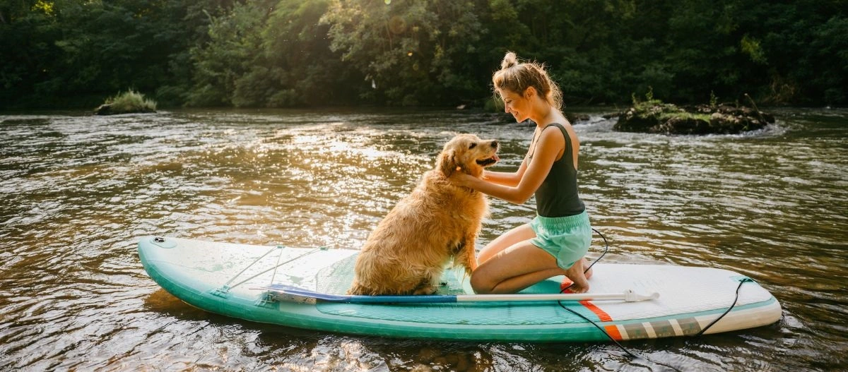 Junge Frau kniet auf einem Paddleboard im Fluss und umarmt ihren Golden Retriever Hund, umgeben von Natur und Sonnenlicht.