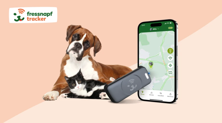 Puce gps pour collier d'animaux – track your pet