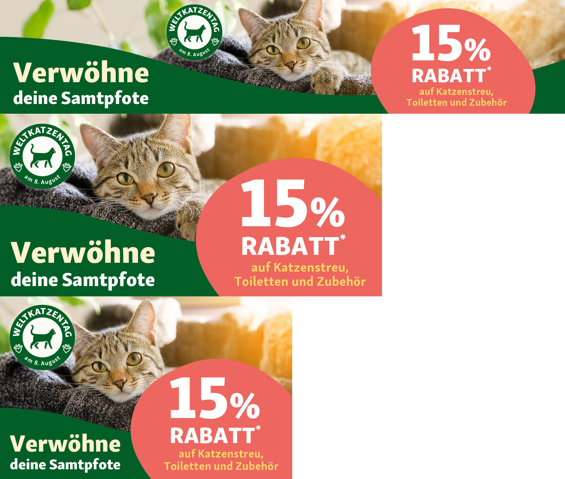 Werbebanner zum Weltkatzentag mit 15% Rabatt auf Katzenstreu, Toiletten und Zubehör, Bild einer entspannten getigerten Katze