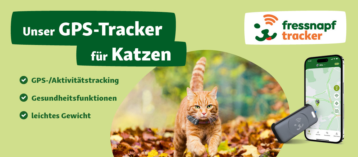 Garten katzensicher machen: Infos & Tipps