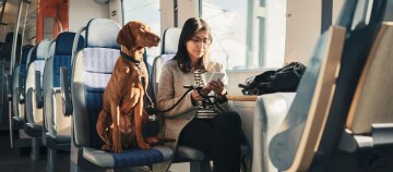 Kobieta z brązowym psem siedzi w pociągu i korzysta z telefonu, nowoczesne wnętrze pociągu, światło dzienne