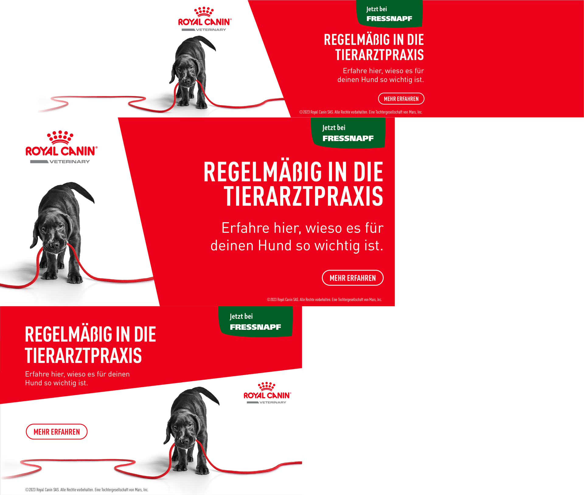 Schwarzer Welpe mit roter Leine im Maul vor Royal Canin Werbung, die zu regelmäßigen Tierarztbesuchen für Hunde bei Fressnapf auffordert.