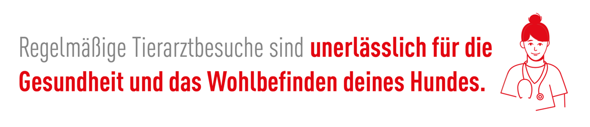 Banner-Fressnapf_Hinweis-Tierarztpraxis_1160x250px-230804-RZ Illustration einer Tierärztin mit Stethoskop und Text über die Wichtigkeit regelmäßiger Tierarztbesuche für die Gesundheit und das Wohlbefinden von Hunden.