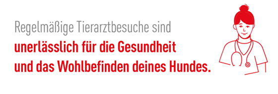 Banner-Fressnapf_Hinweis-Tierarztpraxis_560x190px-230804-RZ Illustration einer Tierärztin mit Stethoskop und Text über die Wichtigkeit regelmäßiger Tierarztbesuche für die Gesundheit und das Wohlbefinden von Hunden.