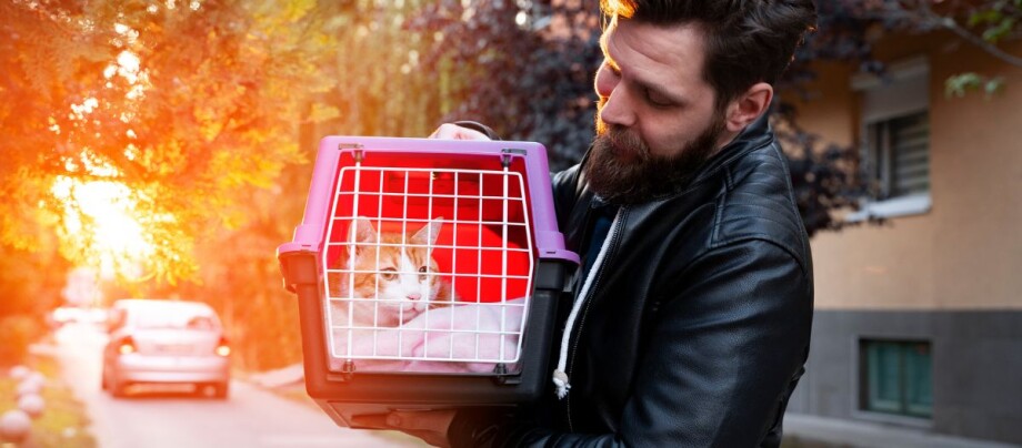 Ein Mann steht draußen auf der Straße und trägt eine Transportbox mit Katze