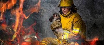 Feuerwehrmann in Schutzkleidung rettet kleinen Hund aus brennendem Gebäude