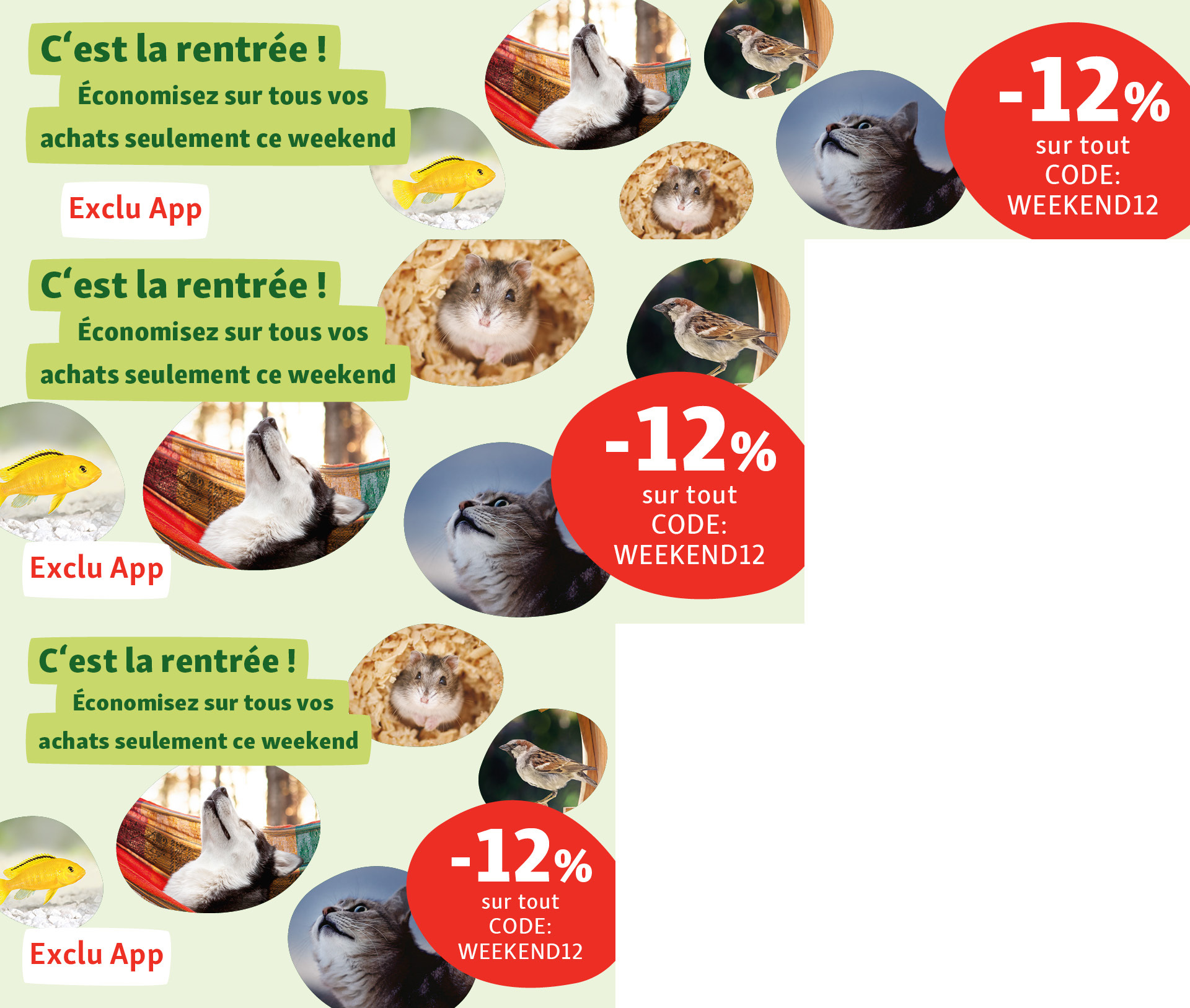 Promotion de 12% de réduction ce weekend avec le code WEEKEND12, images d'animaux domestiques comme chien, chat, hamster, oiseau et poisson sur fond vert.