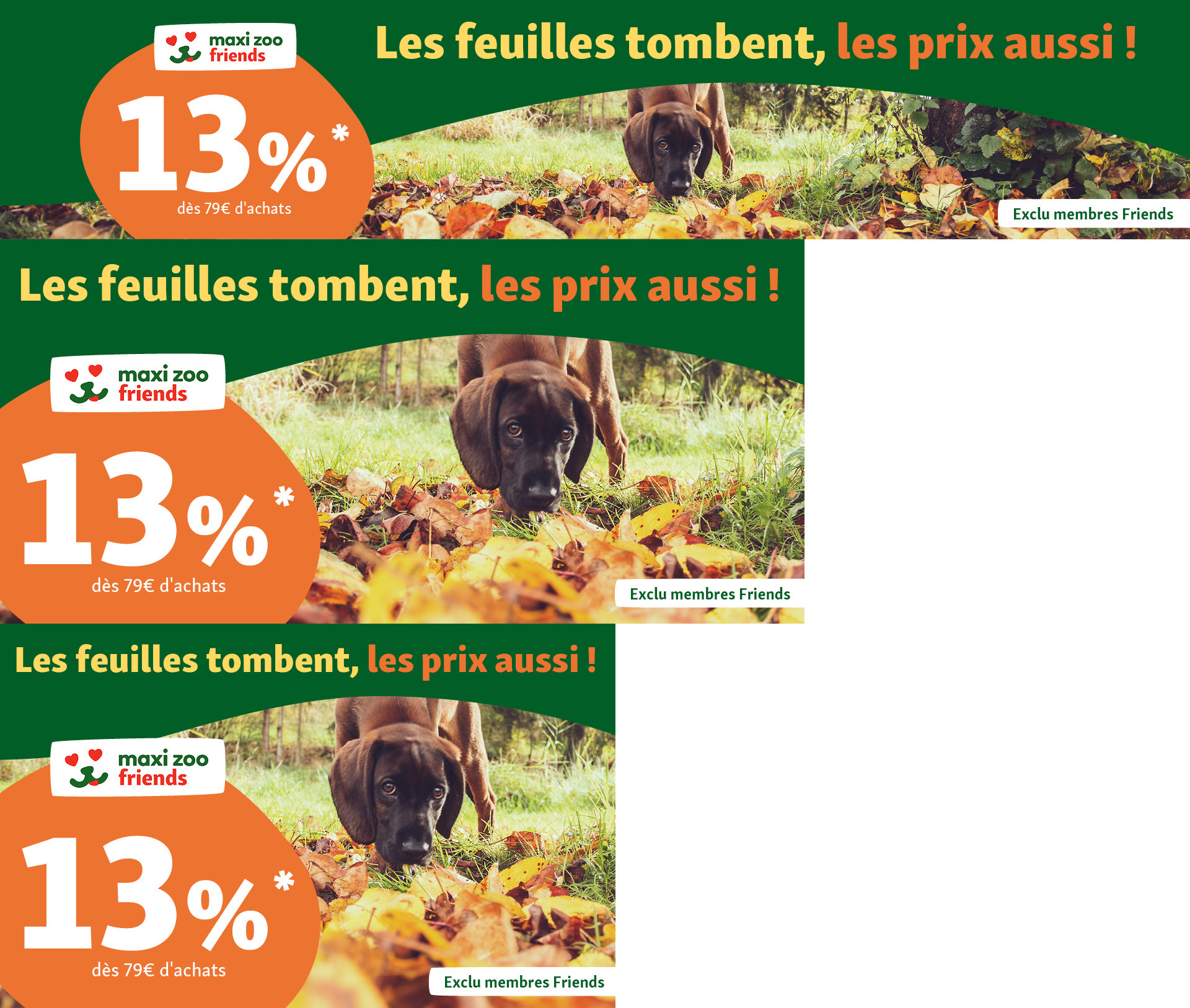 Chiot brun reniflant des feuilles d'automne, Maxi Zoo Friends 13% de réduction dès 79€ d'achats, offre exclusive membres