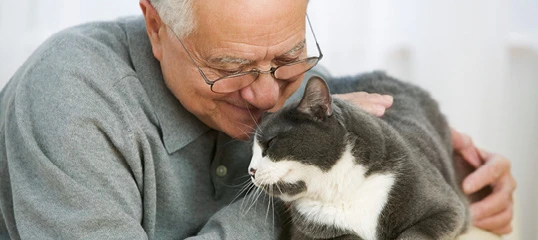 Elderly man lovingly cuddling a grey and white cat, showing affection and closeness