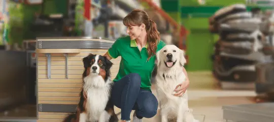 Frau in grünem Poloshirt mit zwei Hunden in einem Zoofachgeschäft, umgeben von Tierfutter und Zubehör
